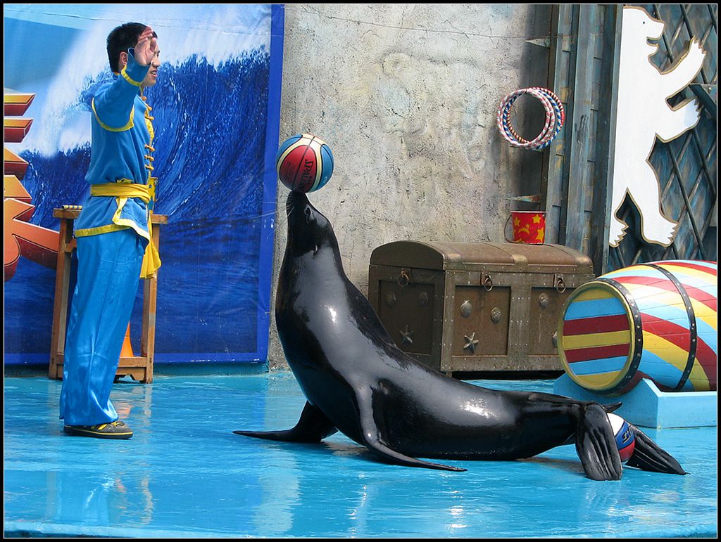 水族馆里 8 摄影 走马观花