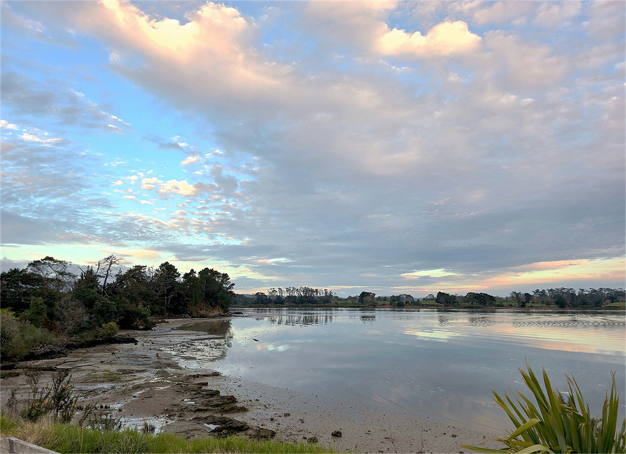 奥克兰海边黄昏风景 摄影 飞鹰998