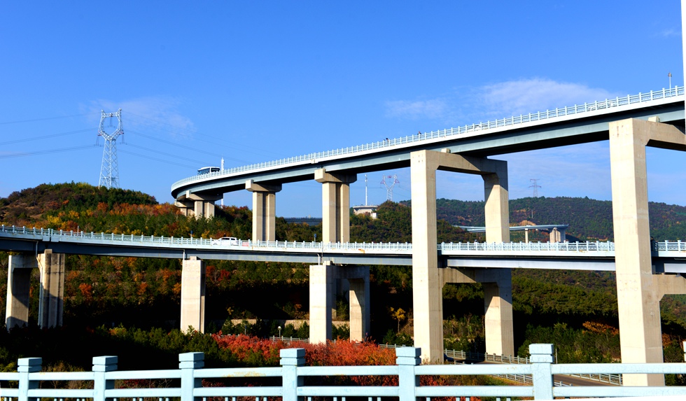 天龙山路桥——4 摄影 园艺