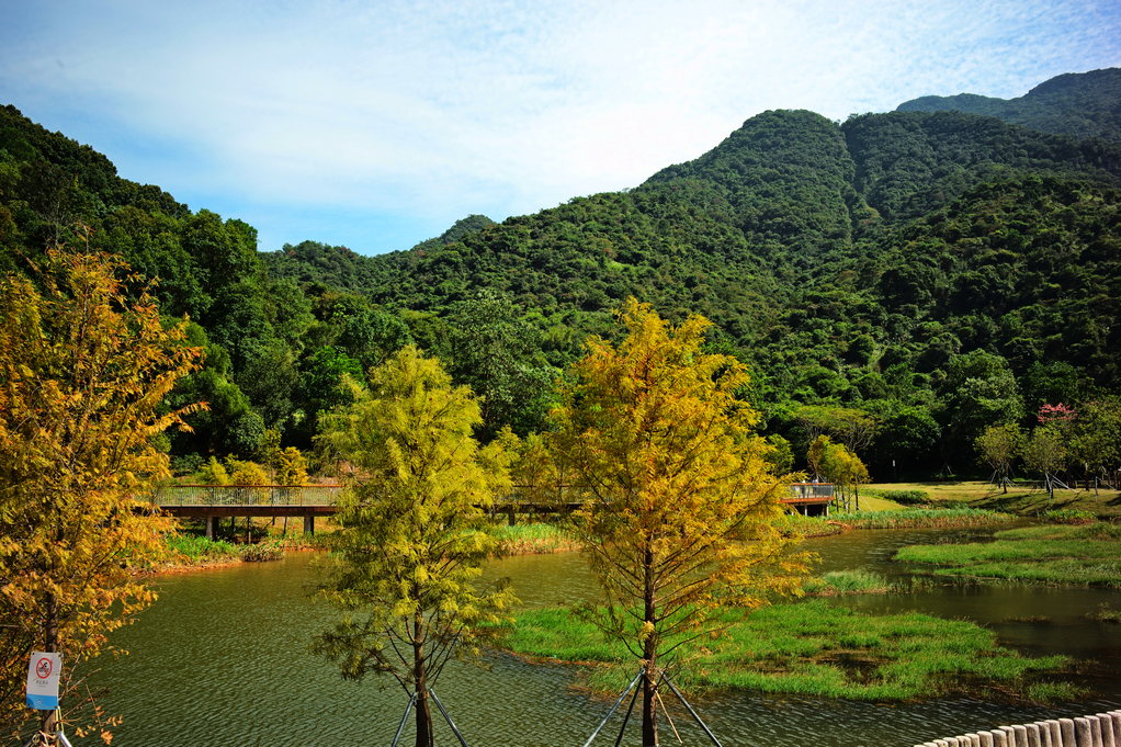 深圳头坡公园 摄影 山里人58