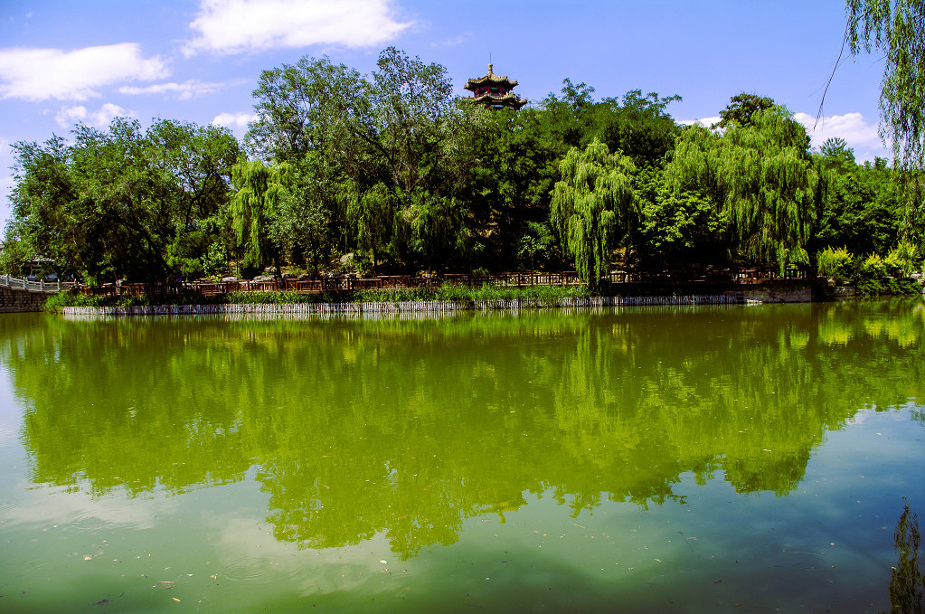 园林小景 摄影 老拙