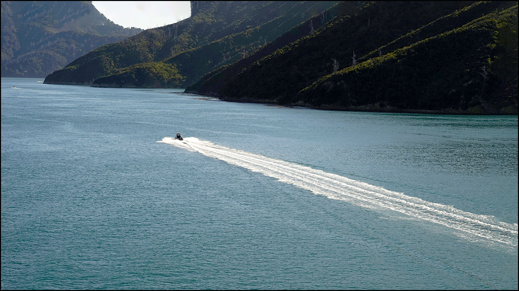 新西兰 - 161  库克海峡 摄影 山野黎明