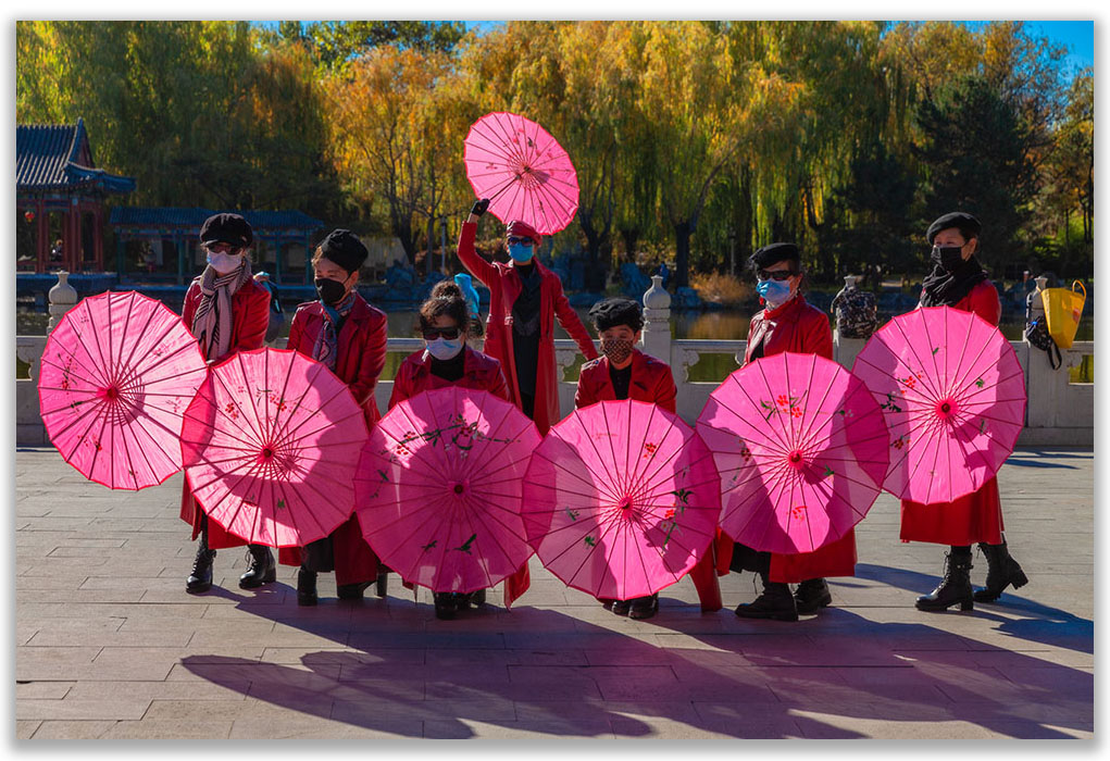 大观园 摄影 与世无争