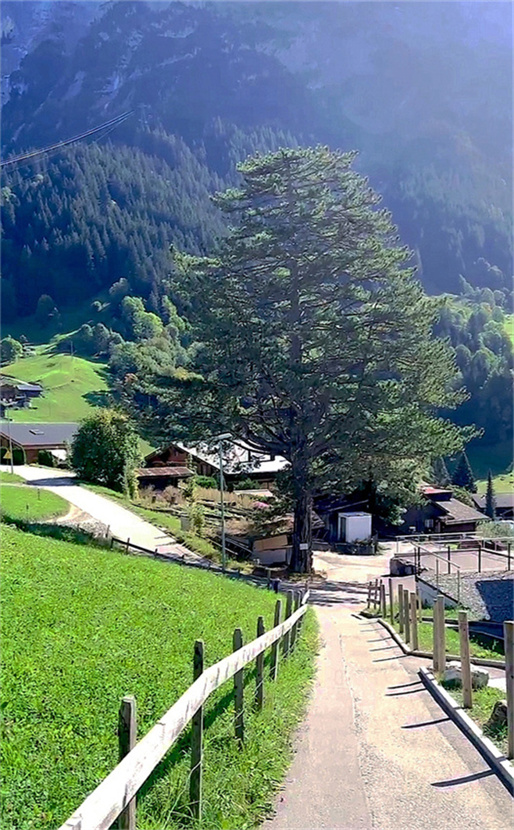 瑞士梦幻山坡小镇风景 摄影 飞鹰998