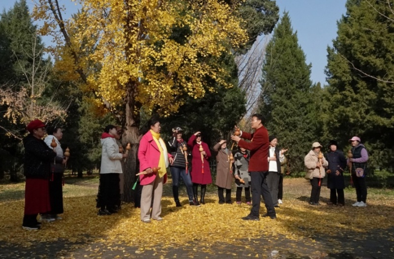 金秋时节——葫芦丝 摄影 丘山皓月