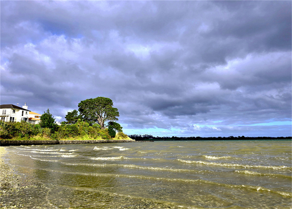 奥克兰海边风景 摄影 飞鹰998