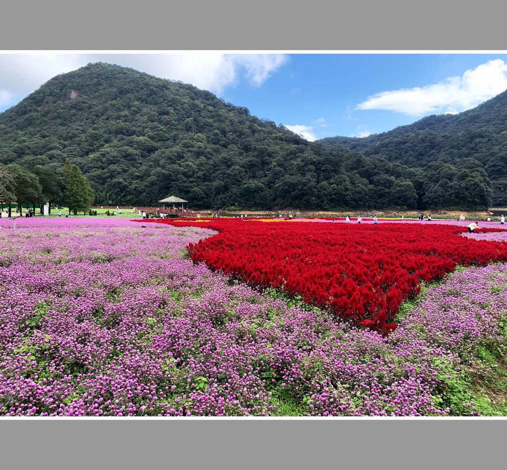 从化-石门国家森林公园 摄影 晓星