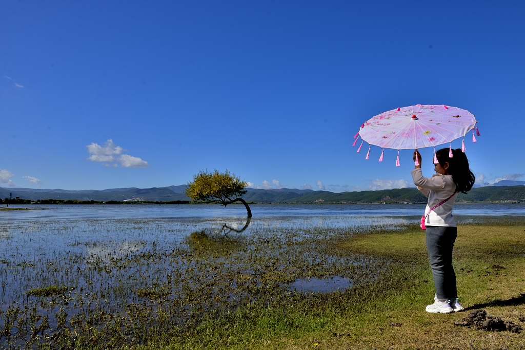 打卡拉市海 摄影 丽强