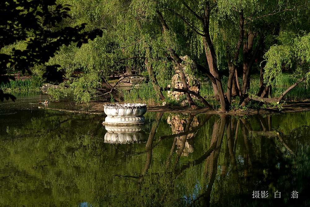 我看见的风景 摄影 白翁liz