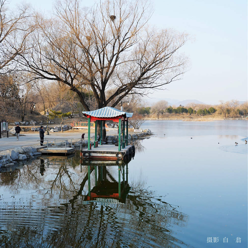 我看见的风景 摄影 白翁liz