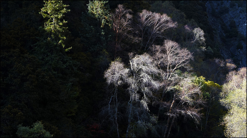 川北- 8  松坪沟 摄影 山野黎明