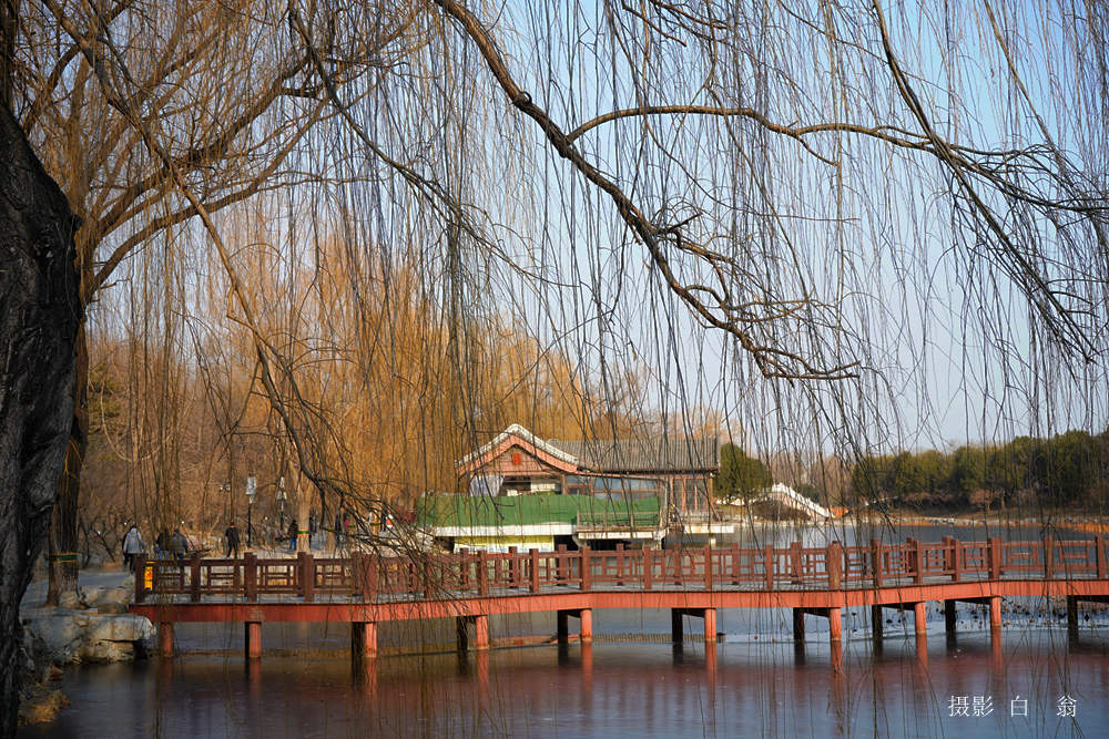 我看见的风景 摄影 白翁liz