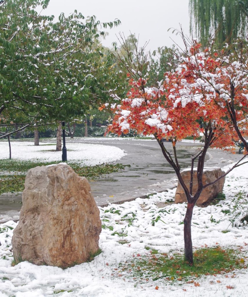 初雪 摄影 老拙