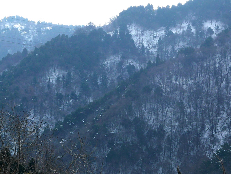 残雪 摄影 大山51