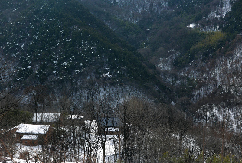 无题 摄影 大山51