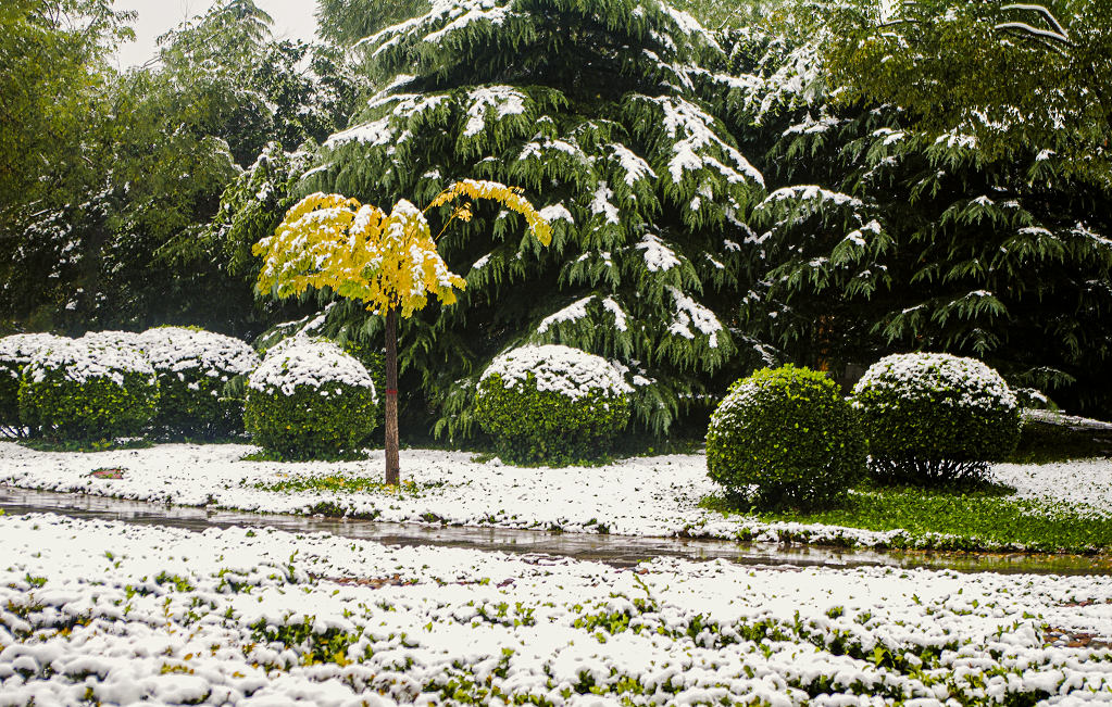 那年的第一场雪 摄影 老拙