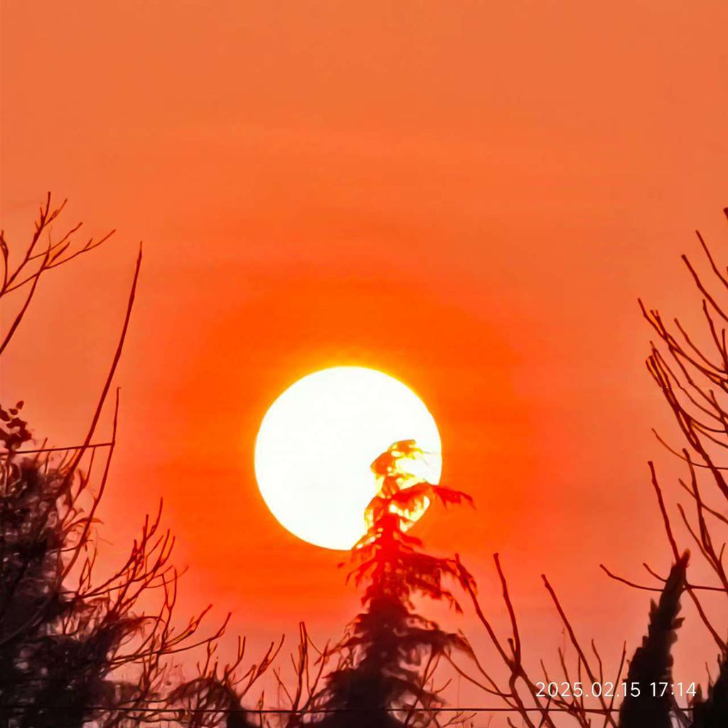 夕阳红 摄影 海鸥119