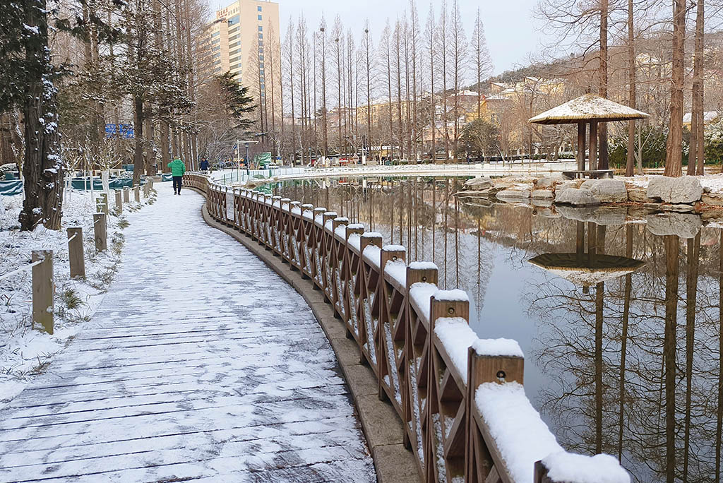 春雪 摄影 毫克