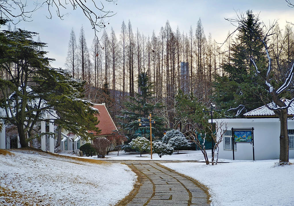 春雪 摄影 毫克