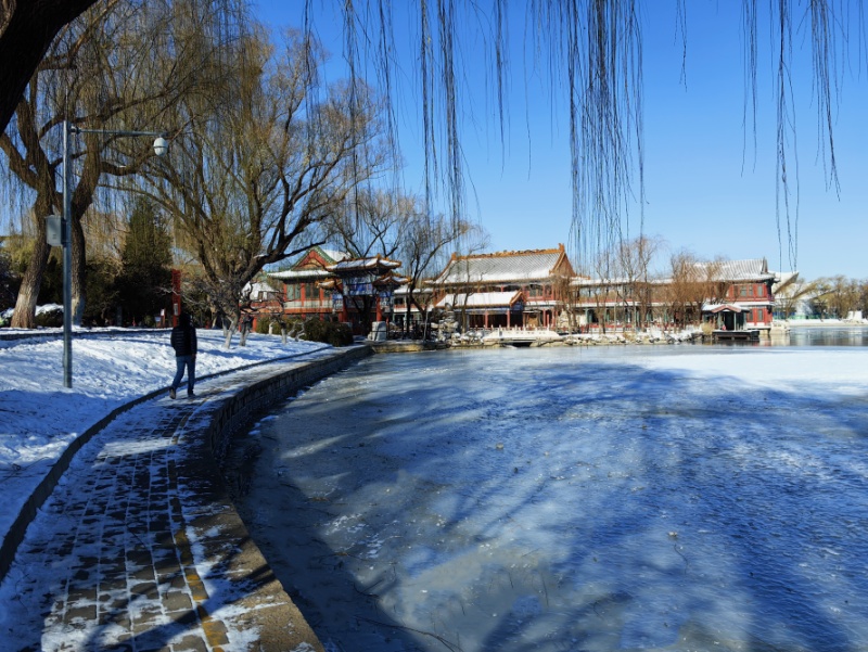 冬日龙潭——龙吟阁 摄影 丘山皓月