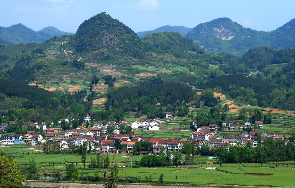 秦岭深处 摄影 zhangxunyong