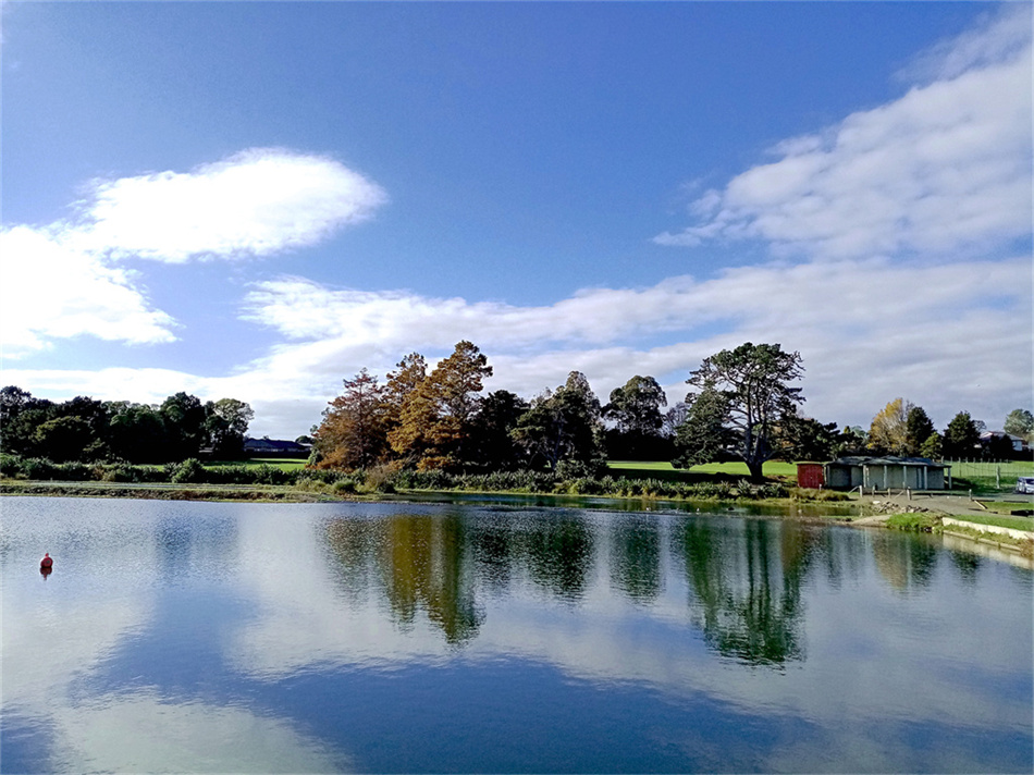 奥克兰小镇人工湖风景 摄影 飞鹰998