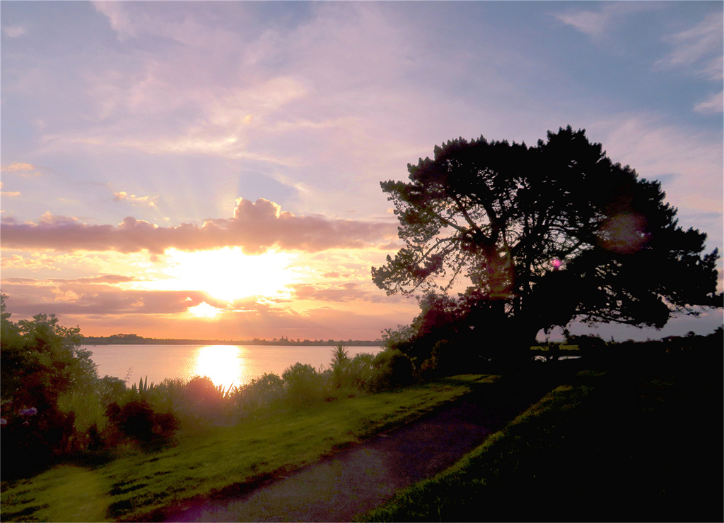 奥克兰海边夕阳风景 摄影 飞鹰998