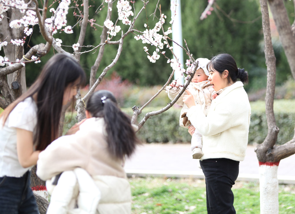 赏花 摄影 蝶梦