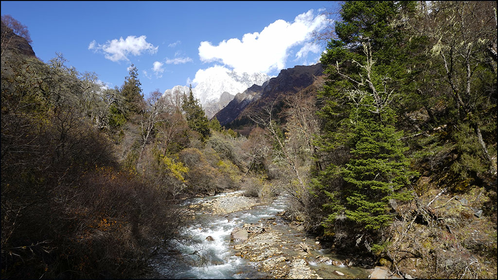 川西 - 138  四姑娘山长坪沟 摄影 山野黎明