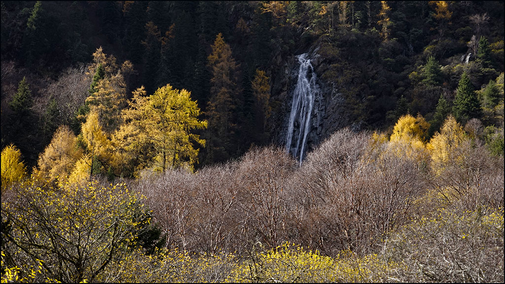 川西 - 144  四姑娘山长坪沟 摄影 山野黎明