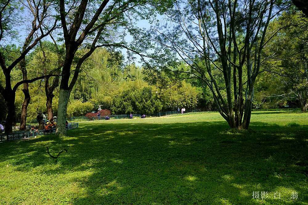 我看见的风景 摄影 白翁liz