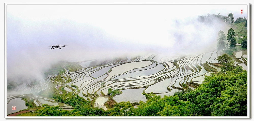 元阳梯田3 摄影 lanqingyin